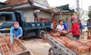 Dân Hà Tĩnh đổ xô đi mua vật liệu xây dựng sau bão số 10