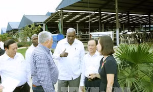 Đoàn đại biểu cấp cao của Quốc hội Cuba thăm và làm việc tại Sơn La 