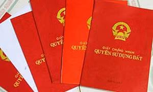 Đắk Nông kỷ luật hàng loạt cán bộ liên quan đến việc cấp sổ đỏ trên đất lâm nghiệp 