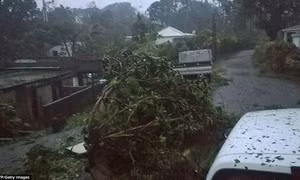Bão Maria sắp đổ bộ, người dân Puerto Rico phải ‘sơ tán hoặc là chết’