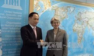 UNESCO đánh giá cao đóng góp thiết thực của Việt Nam 