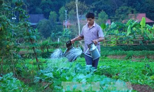 Điện Biên nỗ lực hoàn thành mục tiêu xóa bản trắng đảng viên 