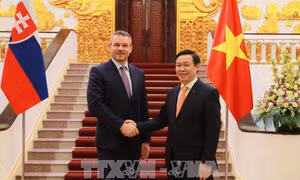 Thúc đẩy xúc tiến thương mại, đầu tư giữa Việt Nam và Slovakia 