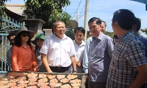 Thành phố Hồ Chí Minh
