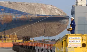 Hàn Quốc: Phát hiện xương nghi là của người bên trong phà Sewol