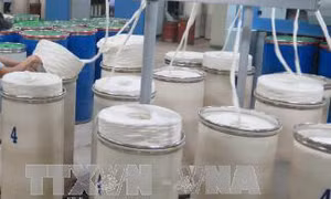 Công nhân Công ty TNHH Dệt may Một thành viên Ducksan Vina đã đi làm trở lại 