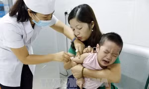 Nhiều dịch bệnh truyền nhiễm nguy hiểm 'tấn công' trong mùa Đông - Xuân