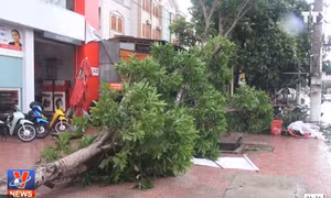 Hàng chục ki ốt và nhà dân bị sập đổ tại Hà Tĩnh