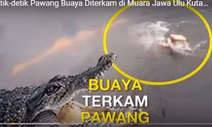 Khoe siêu năng lực, pháp sư Indonesia bị cá sấu kéo chìm nghỉm tử vong