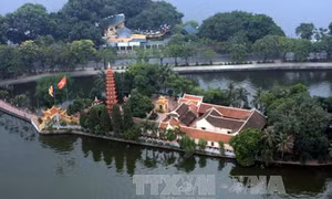 Kỷ niệm 60 năm Tổng thống Ấn Độ trao tặng Chủ tịch Hồ Chí Minh cây bồ đề