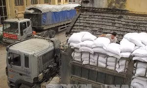 Quy chế hoạt động của Ban Chỉ đạo Quốc gia Chương trình 'Không còn nạn đói'