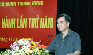 Thực hiện tốt chính sách gắn với bố trí, sử dụng và nâng cao chất lượng cán bộ