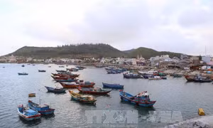 Chương trình 'Cảnh sát biển đồng hành với ngư dân' tại huyện đảo Lý Sơn 