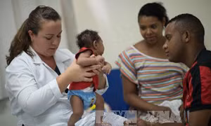 Cảnh báo về chứng động kinh liên quan virus Zika