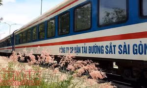Ngành đường sắt công bố lịch chạy tàu dịp Tết Mậu Tuất 2018