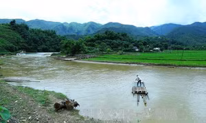 Hà Tĩnh: Người dân liều mình vượt sông bằng bè tự chế 