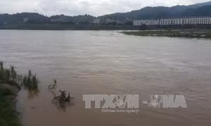 Lũ sông Hồng tại Lào Cai lên cao gây ngập úng hoa màu 