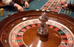 Hướng dẫn về kinh doanh casino 