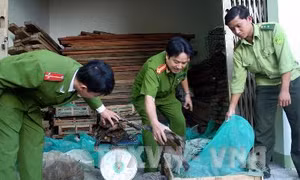  Phê duyệt dự án phòng, chống buôn bán trái phép động, thực vật hoang dã