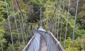 Sập cầu tại Colombia, hơn 20 người thương vong