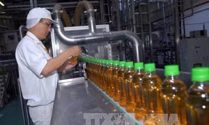 30 năm thu hút FDI: Vượt sóng ra biển khơi