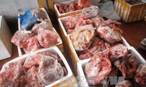Phát hiện cơ sở chế biến mỡ, lòng lợn bẩn ở Bắc Ninh