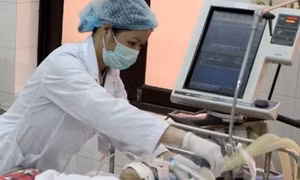 TP Hồ Chí Minh: Một trường hợp tử vong do virus cúm 