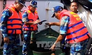 Buôn lậu xăng dầu nóng ở những vùng biển giáp ranh giữa các nước
