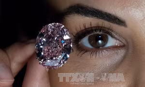  Chiếc nhẫn kim cương 26 cara được bán với giá 'đồng nát'
