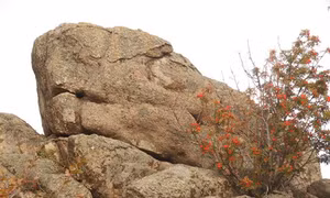 Tảng đá cổ đại bí ẩn ở Siberia có thể làm thay đổi hiểu biết về cách nhân loại hình thành