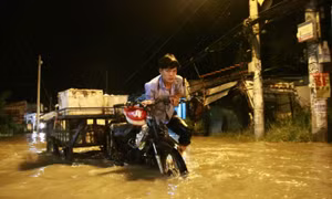 Khẩn trương khắc phục sự cố nước tràn ngược từ rạch Đĩa gây ngập nhà dân