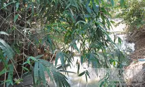 Vụ gây ô nhiễm nguồn nước suối ở Phú Thọ: Sẽ nâng cấp hệ thống xử lý nước thải