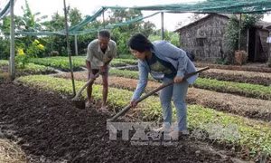 Người phụ nữ Nhật 20 năm gắn bó với nông dân Việt Nam 