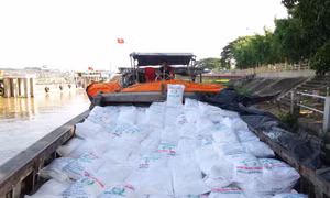 Bắt ghe chở lậu 75 tấn đường cát trị giá hơn 1 tỷ đồng trên sông Tiền