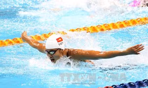 Ánh Viên giành vé dự Olympic 2016