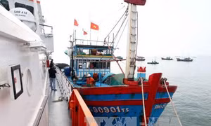 Cứu hộ kịp thời 10 thuyền viên tàu cá Đà Nẵng gặp nạn