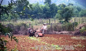 Đất sản xuất, kinh doanh có được xây nhà ở?