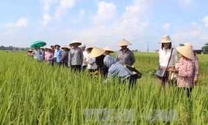 Đầu tư vào nông nghiệp sẽ được hưởng nhiều ưu đãi thuế