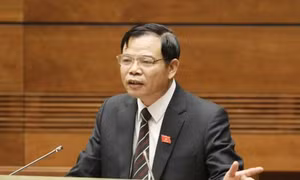 Sáng nay 13/6, Bộ trưởng Nguyễn Xuân Cường đăng đàn trả lời chất vấn
