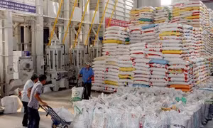 Doanh nghiệp xuất khẩu gạo phải có kho dự trữ 5.000 tấn