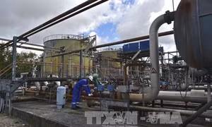 Giá dầu tăng liên tục trong những tuần gần đây 