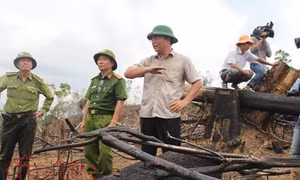 Có dấu hiệu buông lỏng quản lý trong vụ phá rừng Tiên Lãnh, Quảng Nam