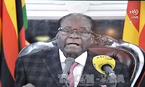 Tổng thống Zimbabwe không từ chức, tuyệt thực để phản đối bị bắt giam 