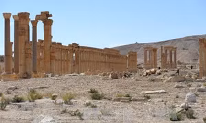 Phá hủy di tích cổ ở Palmyra, IS phạm 'tội ác chiến tranh'