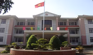  Đắk Nông: Huyện Đắk Song bổ nhiệm hàng loạt cán bộ không đủ tiêu chuẩn 