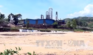 Trách nhiệm của doanh nghiệp với xã hội và bảo vệ môi trường 