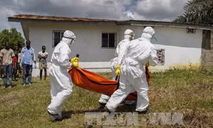Bùng phát dịch Ebola tại Congo, các nước lân cận ban bố cảnh báo 