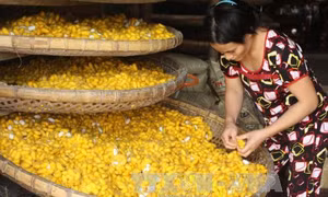 Hỗ trợ, khôi phục làng nghề nghề truyền thống