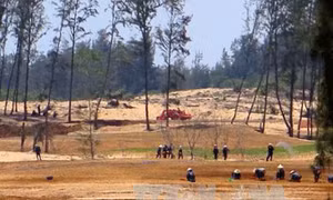 420 ha rừng ở Phú Yên bị chuyển đổi trái phép