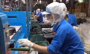 TP Hồ Chí Minh